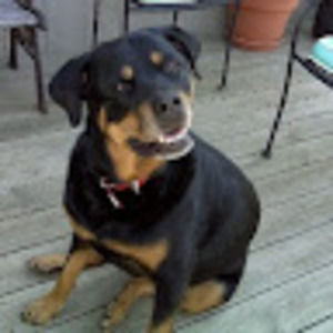 Meet your Posher, Mark